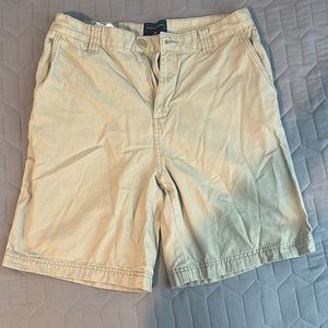 Saddlebred Khaki Shorts